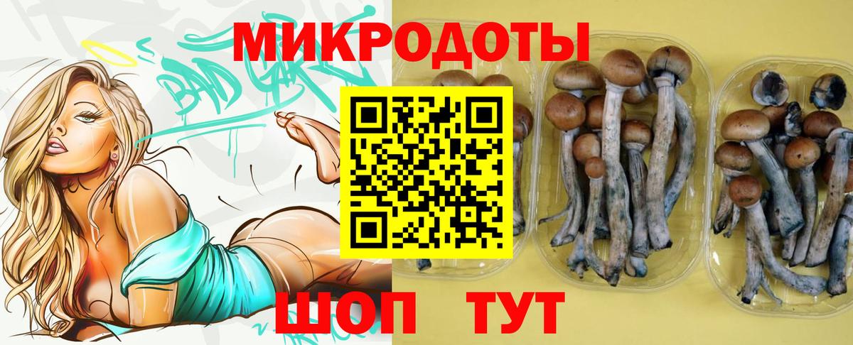 Лесозаводск  Галлюциногенные грибы Psilocybe  Вход с VPN 