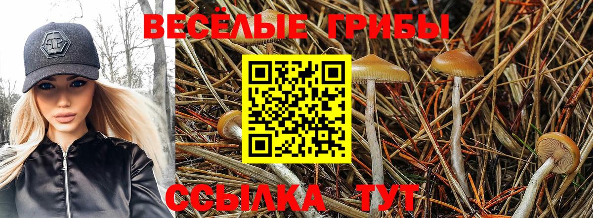 Галлюциногенные грибы мухоморы Лесозаводск